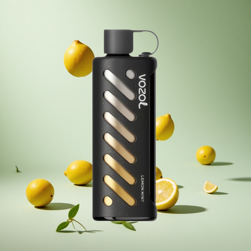 Limon Nane VOZOL Gear Shisha 25000 Puff 30 Lezzetli Tatlar Çift Mesh Çift Modlar