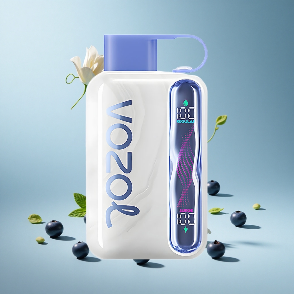 Yaban Mersini Nanesi VOZOL STAR 40000 Puffs Şarjlı Type-C 1000mAh 20/50mg/ml