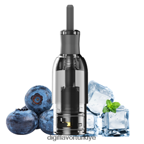 Digiflavor Istanbul J0R2DL33 yaban mersinli buz | Digiflavor M1 tankı