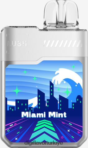 miami nanesi